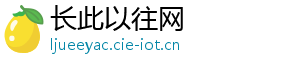 长此以往网